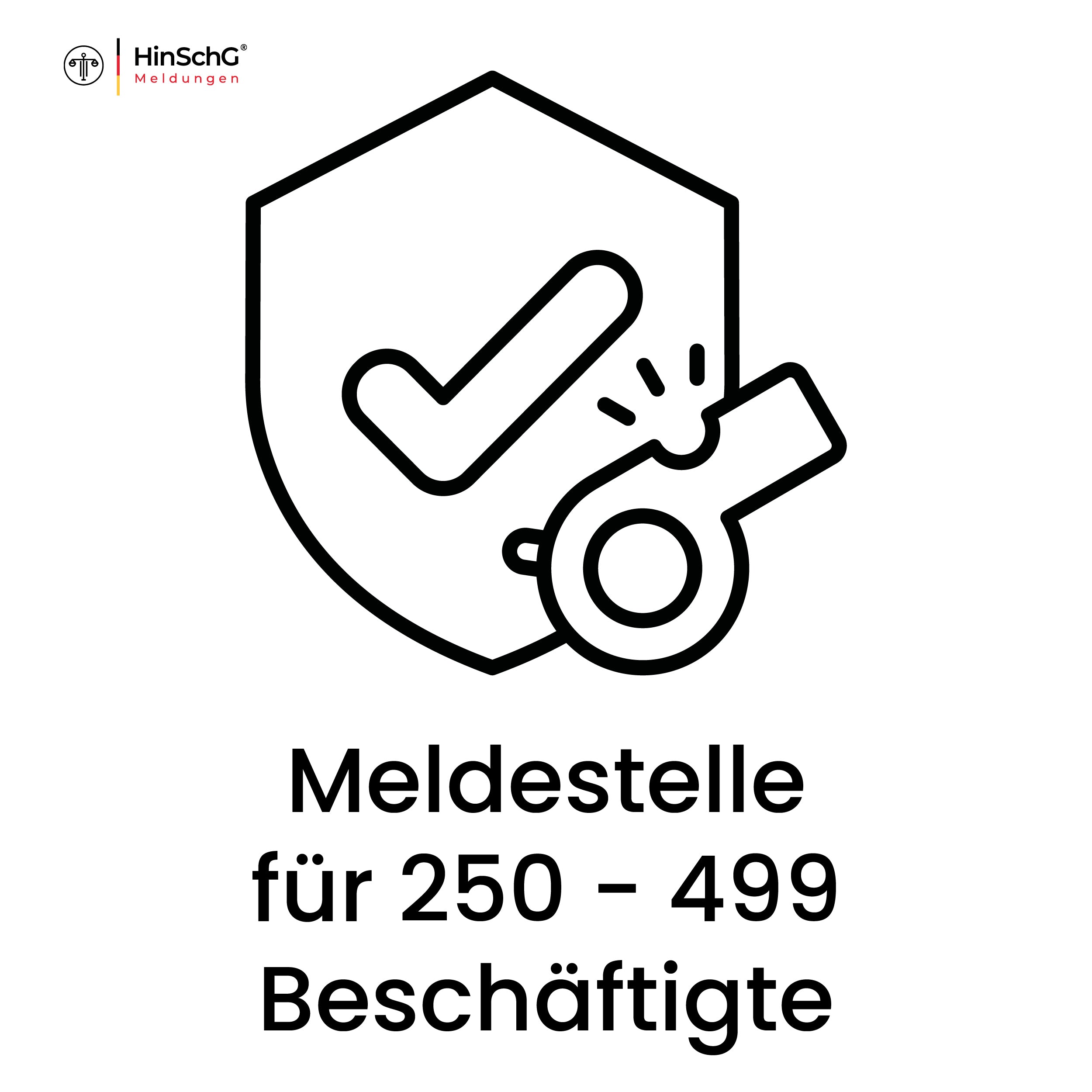 Whistleblower-Meldestelle für große Unternehmen (250-499 Beschäftigte)